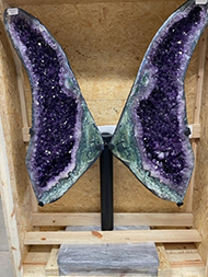 Amethyst Butterfly wings
